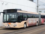 Gelenkbus mit Ganzbemalung