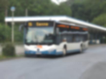 Citaro Solobus - 2012 & 2013