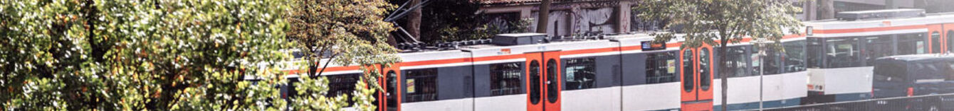 fahrende Bahn hinter Bäumen