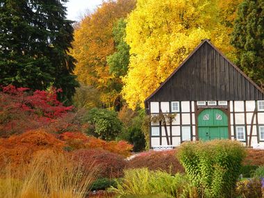Der Botanische garten im Herbst | Foto: botanischer-garten-bielefeld.de Der Botanische garten im Herbst