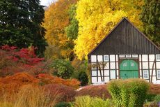 Der Botanische garten im Herbst | Foto: botanischer-garten-bielefeld.de Der Botanische garten im Herbst