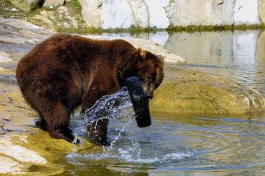 Tierpark Olderdissen | Foto: Bielefeld.jetzt