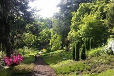 Der Botanische Garten Bielefeld | Foto: TripAdvisor Der Botanische Garten Bielefeld
