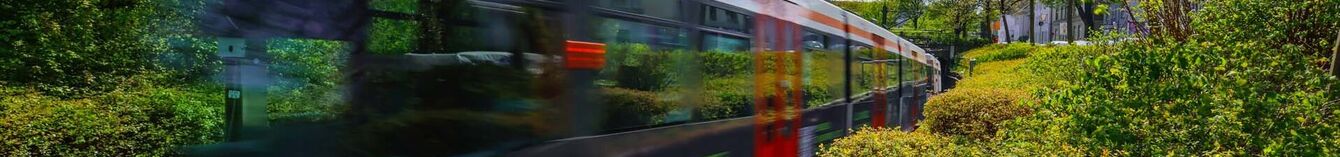 Eine Bahn mit Bewegungsunschärfe in grüner Natur.