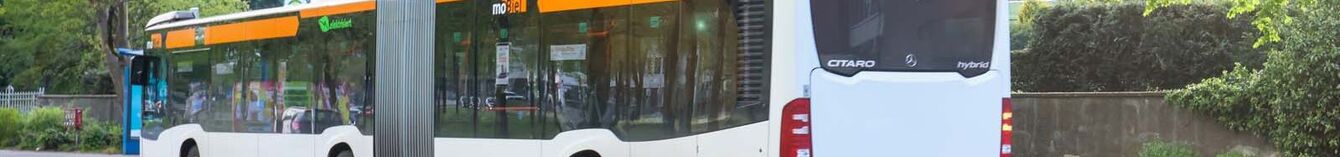 Ein Bus im Stadtbild vor grünen Bäumen bei frühlingshaftem Lichteinfall.
