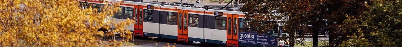 Blick auf die StadtBahn mit Bäumen im Bild