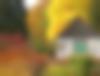 Der Botanische garten im Herbst