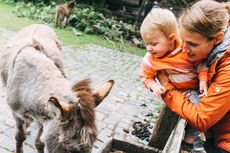 Eine Frau tr&auml;gt ein Kind auf dem Arm und betrachtet einen Esel im Tierpark Olderdissen in Bielefeld.