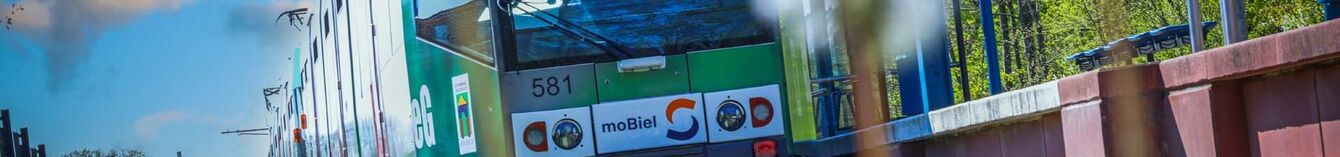 Eine StadtBahn wartet an der Haltestelle Altenhagen, im Vordergrund ist eine Pusteblume zu sehen.