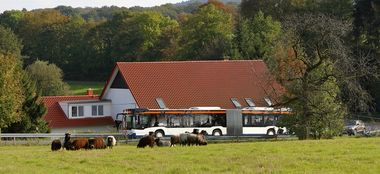moBiel-Bus im Grünen moBiel-Bus fährt durch grüner Landschaft