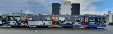 Beispiel: Ganzbemahlung StadtBahn