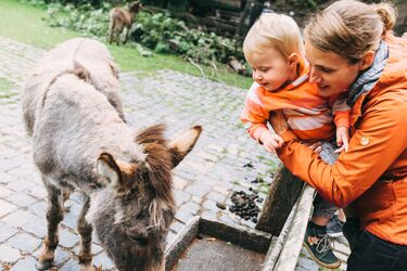 Im Tierpark gibt es viel zu entdecken! Frau mit Kind im Tierpark vor dem Eselgehege.