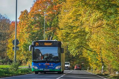 Bus-Linie 24 vor bunt gefärbten Bäumen