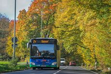 Bus-Linie 24 vor bunt gefärbten Bäumen
